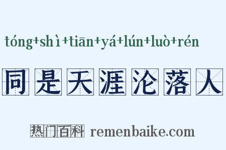 同是天涯沦落人是什么意思的图片